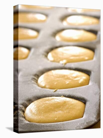 Unbaked Lemon Madeleines in the Baking Tin-Alain Caste-Premier Image Canvas