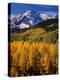 Uncompahgre National Forest CO USA-null-Premier Image Canvas