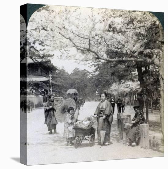 Under the Cherry Blossoms, Looking Northeast Along the Main Avenue of Shiba Park, Tokyo, Japan-Underwood & Underwood-Premier Image Canvas