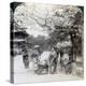 Under the Cherry Blossoms, Looking Northeast Along the Main Avenue of Shiba Park, Tokyo, Japan-Underwood & Underwood-Premier Image Canvas