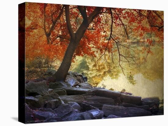 Under the Maple Tree-Jessica Jenney-Premier Image Canvas