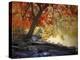Under the Maple Tree-Jessica Jenney-Premier Image Canvas
