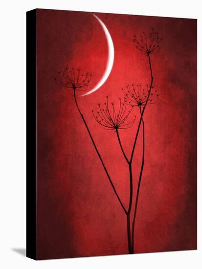 Under the Moon 2-Philippe Sainte-Laudy-Premier Image Canvas