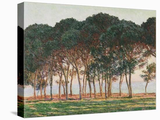 Under the Pines, Evening, 1888 (Oil on Canvas)-Claude Monet-Premier Image Canvas