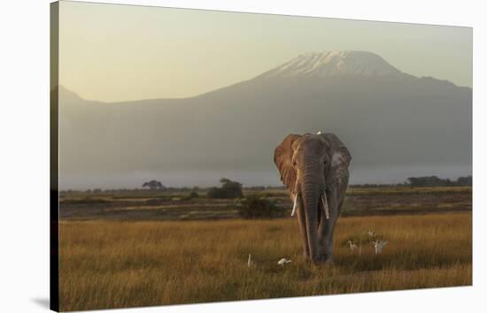 Under The Roof Of Africa-Massimo Mei-Stretched Canvas