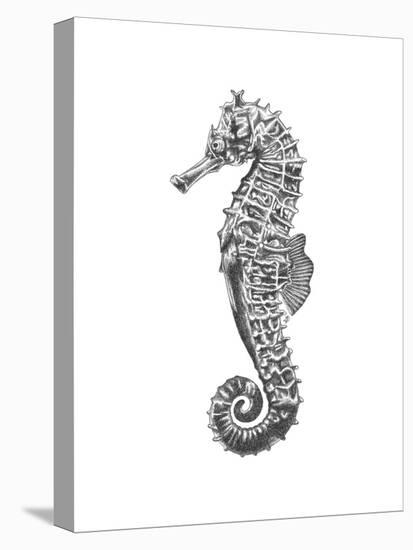 Under The Sea - Seahorse-Lucy Francis-Stretched Canvas