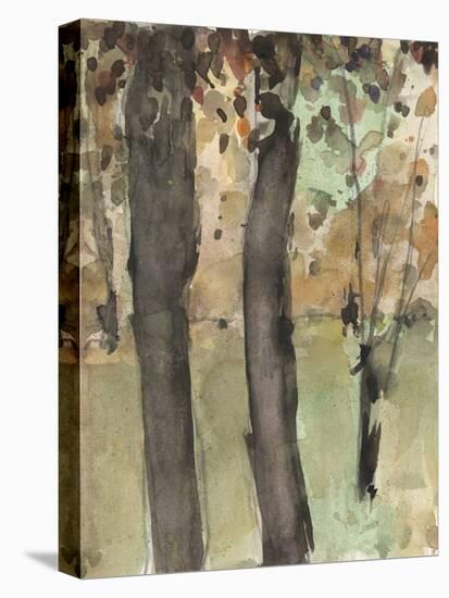 Under the Tree Confetti I-Samuel Dixon-Stretched Canvas