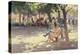 Under the Trees, South Bank, 1990-Trevor Chamberlain-Premier Image Canvas