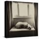 Under the Window-Tim Kahane-Premier Image Canvas