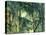 Undergrowth, C.1885-Paul Cézanne-Premier Image Canvas