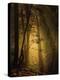 Undergrowth-Norbert Maier-Premier Image Canvas