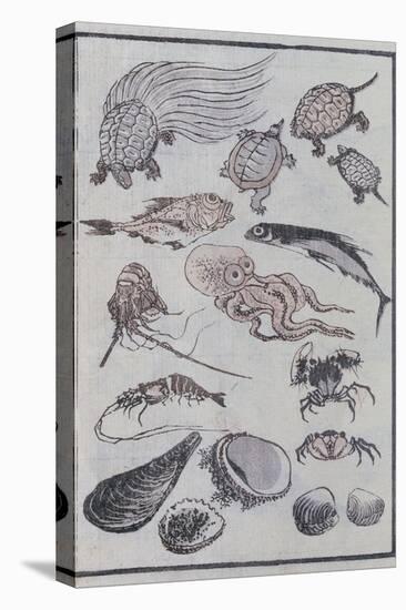 Undersea Creatures, from a Manga (Colour Woodblock Print)-Katsushika Hokusai-Premier Image Canvas