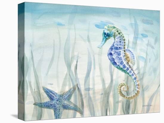 Undersea Friends-Danhui Nai-Stretched Canvas