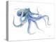 Undersea Octopus-Danhui Nai-Stretched Canvas