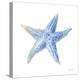 Undersea Starfish-Danhui Nai-Stretched Canvas