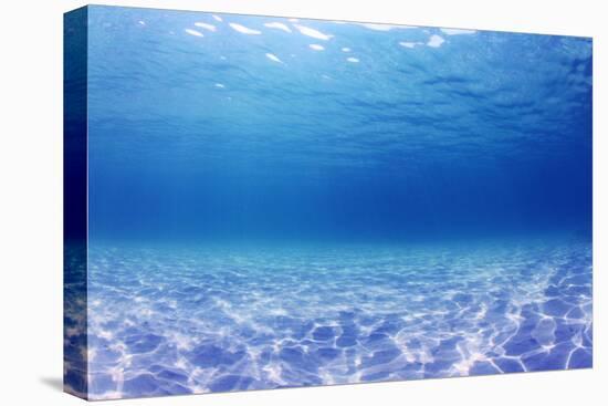 Underwater Background in the Sea-Rich Carey-Premier Image Canvas