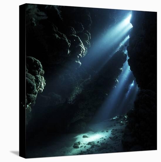 Underwater Cave-Alexander Semenov-Premier Image Canvas