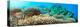 Underwater Panorama with Coral and Fishes. Andaman Sea. Merged from 5 Images-GoodOlga-Premier Image Canvas