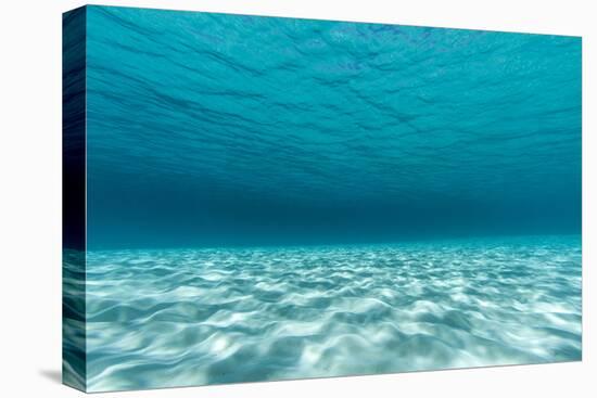 Underwater Photograph of a Textured Sandbar in Clear Blue Water Near Staniel Cay, Exuma, Bahamas-James White-Premier Image Canvas