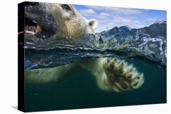 Underwater Polar Bear, Hudson Bay, Nunavut, Canada-Paul Souders-Premier Image Canvas