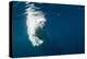 Underwater Polar Bear, Nunavut, Canada-Paul Souders-Premier Image Canvas