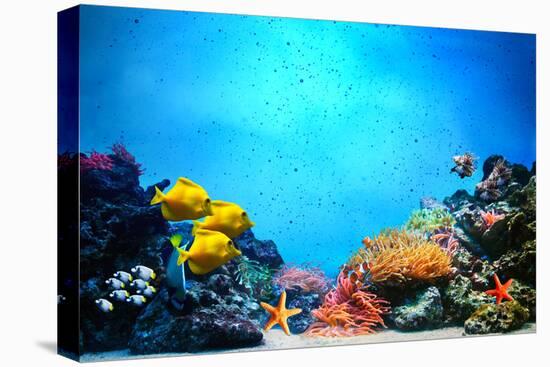 Underwater Scene-Michal Bednarek-Premier Image Canvas