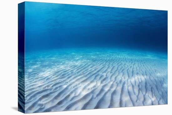 Underwater Shoot of an Infinite Sandy Sea Bottom with Clear Blue Water and Waves on its Surface-Dudarev Mikhail-Premier Image Canvas