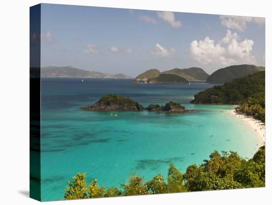 Underwater Snorkeling Trail, St John, United States Virgin Islands, USA, US Virgin Islands-Trish Drury-Premier Image Canvas