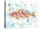 Underwater Trout-Kerstin Stock-Stretched Canvas