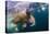 Underwater Walrus, Hudson Bay, Nunavut, Canada-Paul Souders-Premier Image Canvas