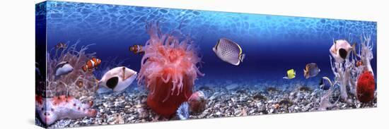 Underwater World - Panorama-null-Stretched Canvas