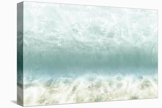 Underwater-Edward Selkirk-Stretched Canvas