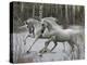 Unicorn 57-Bob Langrish-Premier Image Canvas