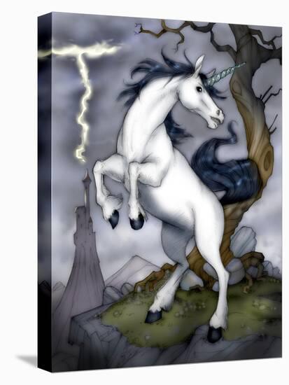 Unicorn-Harry Briggs-Premier Image Canvas