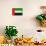 United Arab Emirates Flag Design with Wood Patterning - Flags of the World Series-Philippe Hugonnard-Stretched Canvas displayed on a wall