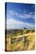 United Kingdom, England, North Yorkshire, Sutton Bank. a Signpost on the Cleveland Way-Nick Ledger-Premier Image Canvas