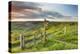 United Kingdom, England, North Yorkshire, Sutton Bank. a Signpost on the Cleveland Way.-Nick Ledger-Premier Image Canvas