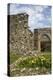 United Kingdom, Wales. Cymer Abbey in Gwynedd, a Welsh Historic Monument of Cadw-Kymri Wilt-Premier Image Canvas