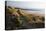 United Kingdom, Wales, Pembrokeshire. Dunes of Freshwater West Beach, Pembrokeshire, Wales.-Kymri Wilt-Premier Image Canvas