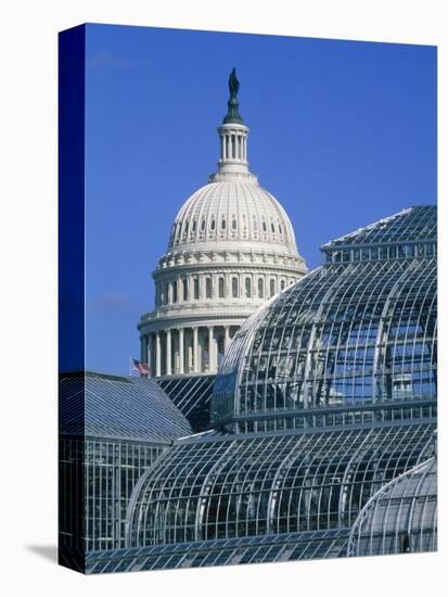 United States Botanic Garden Conservatory and Capitol, Washington DC, USA-Murat Taner-Premier Image Canvas