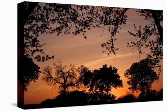 Unity Sunset-Tammy Putman-Premier Image Canvas