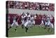 University Of Alabama Football Game, Tuscaloosa, Alabama-Carol Highsmith-Stretched Canvas