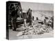 Unloading Gortons Codfish, Gloucester, Mass.-null-Stretched Canvas