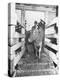 Unrra Cows for Italy-null-Premier Image Canvas