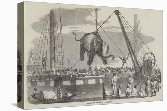 Unshipping Elephants at Calcutta-null-Premier Image Canvas