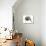 Untitled-Mark Adlington-Premier Image Canvas displayed on a wall