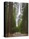 Upper and Lower Yosemite Falls. Yosemite National Park, CA-Jamie & Judy Wild-Premier Image Canvas