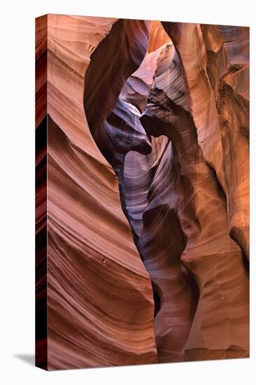 Upper Antelope I-Larry Malvin-Premier Image Canvas