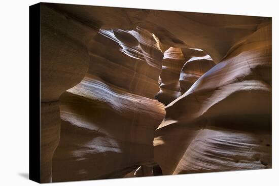 Upper Antelope IV-Larry Malvin-Premier Image Canvas