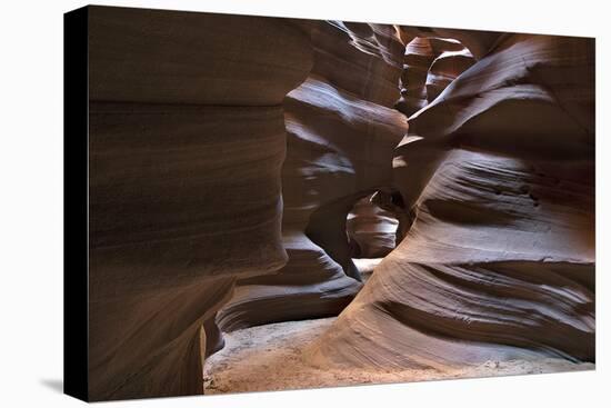 Upper Antelope V-Larry Malvin-Premier Image Canvas